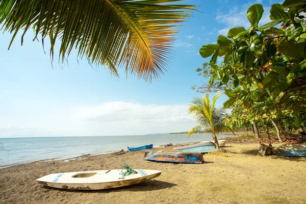 Beach Playa Tarcoles Costa Rica — Stock Photo, Image