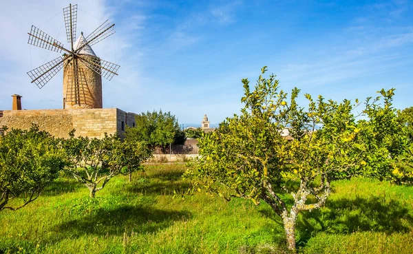 Old Windmill Algadia Mallorca Spain — Stock Photo, Image