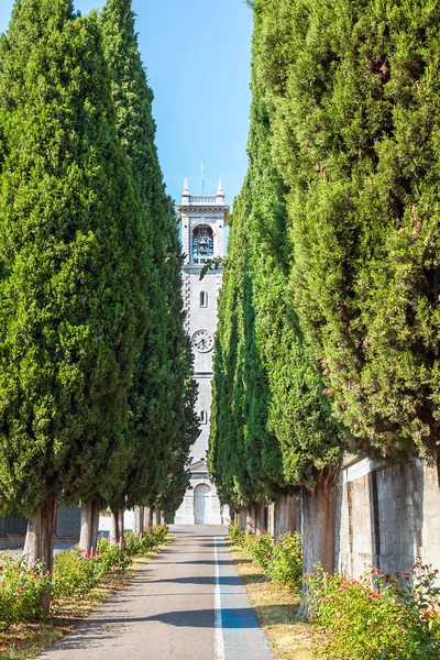 Cipreses avenida Brescia Lombardía Italia —  Fotos de Stock