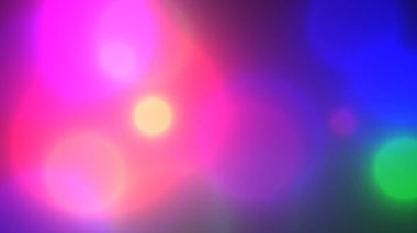 Oakmoss (Lycopodium nototinum) sonbaharın başında. Sebze bitkisi. Beyaz Rusya ormanları. Yakın plan fotoğraf..