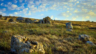 Vahşi bozkırda taş manzara