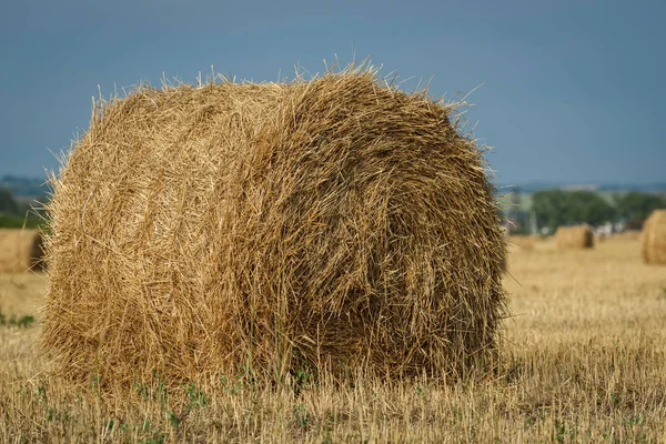 Rouleau Pile Paille Dans Champ — Photo