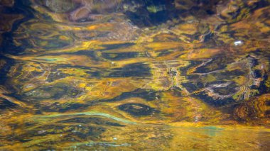 Deniz dibi deniz suyu yüzeyinin görünümü