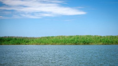 Nehir ve sazlık ile kıyı
