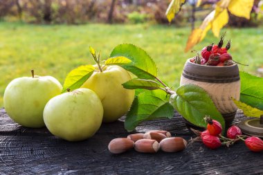 Taze Bahçe elma ve bir eski güdük fındık.