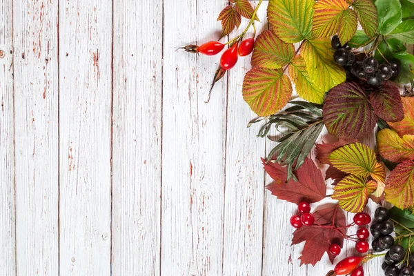 Autumn Leaves Wooden Background Copy Paste — Stock Photo, Image