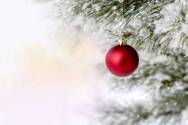 Çam dalında Noel süslemeleri