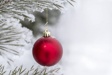 Çam dalında kırmızı Noel topları, buzla kaplı. Noel kartı. Metin için Boşluğu Kopyala.