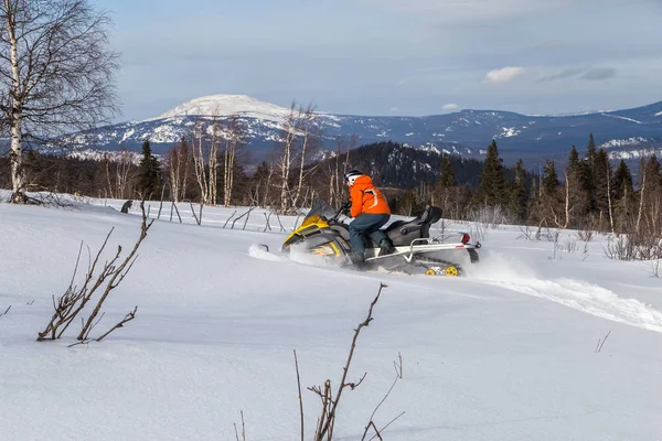 Sportler Auf Einem Schneemobil Das Sich Winterwald Den Bergen Des — Stockfoto