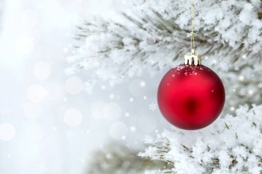 Çam dalında kırmızı Noel topları, buzla kaplı. Noel kartı. Metin için Boşluğu Kopyala.