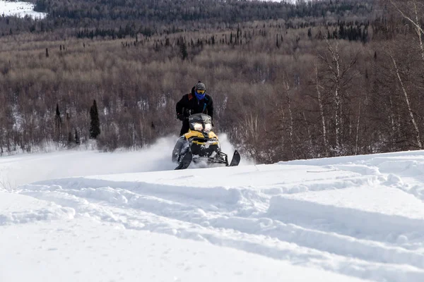 Αθλητής Ένα Snowmobile Κινείται Στο Δάσος Του Χειμώνα Στα Βουνά — Φωτογραφία Αρχείου
