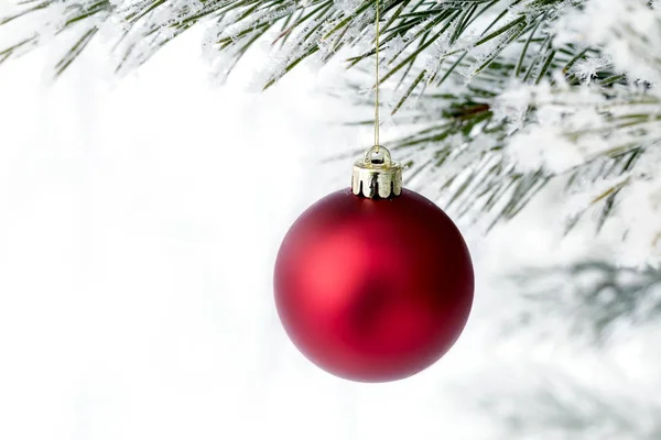 Red Christmas Balls Pine Branch Covered Frost Christmas Card Copy — Stock Photo, Image