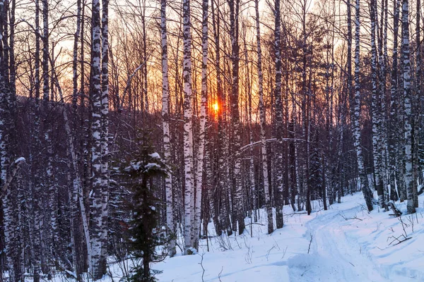 Inverno in montagna — Foto Stock