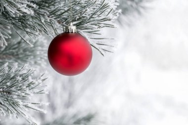 Çam dalında Noel süslemeleri