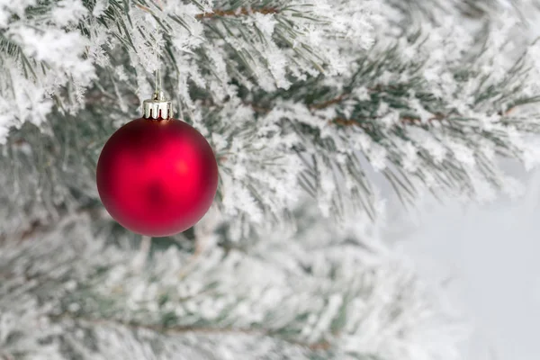 Christmas decorations on the pine branch — Stock Photo, Image