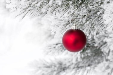 Çam dalında Noel süslemeleri