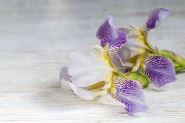 Süsen ahşap arka plan üzerinde buket. Kopya alanı metin için.