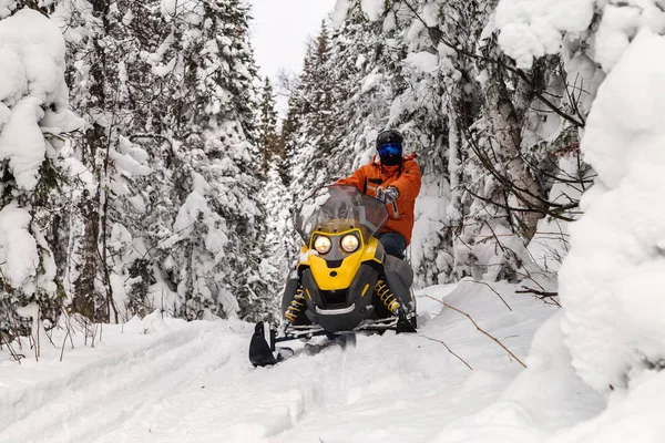 Atleta Una Motoslitta Che Muove Nella Foresta Invernale Tra Montagne — Foto Stock