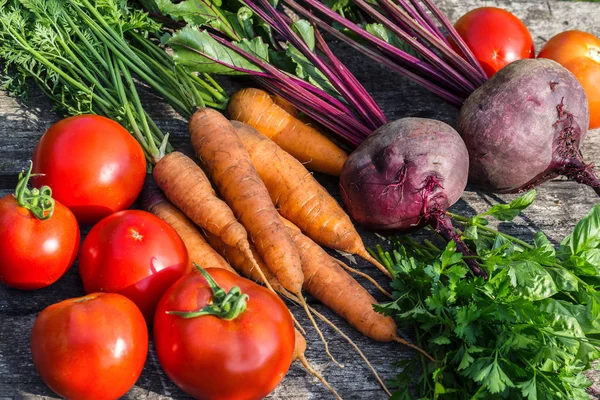 Zanahorias Enteras Remolachas Recién Cosechadas Con Hojas Tomates Verduras Sobre — Foto de Stock