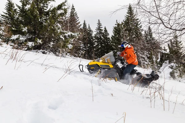 Sportler Auf Einem Schneemobil Das Sich Winterwald Den Bergen Des — Stockfoto