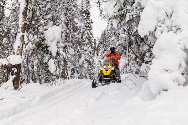 Athlete on a snowmobile moving in the winter forest in the mountains of the Southern Urals.