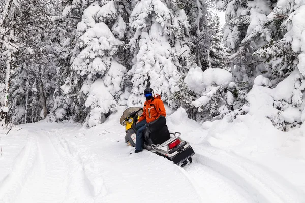 Atleta Una Motoslitta Che Muove Nella Foresta Invernale Tra Montagne — Foto Stock