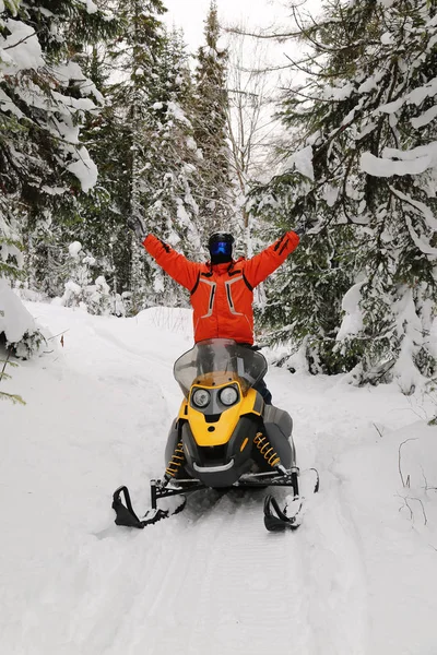 Αθλητής Ένα Snowmobile Κινείται Στο Δάσος Του Χειμώνα Στα Βουνά — Φωτογραφία Αρχείου