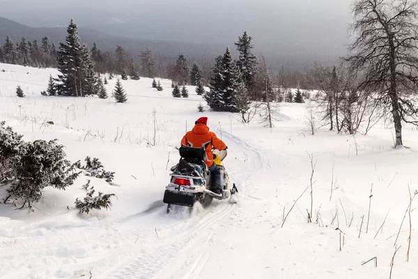 Güney Urallar Dağlarındaki Kış Ormanlarında Hareket Eden Bir Kar Aracının — Stok fotoğraf