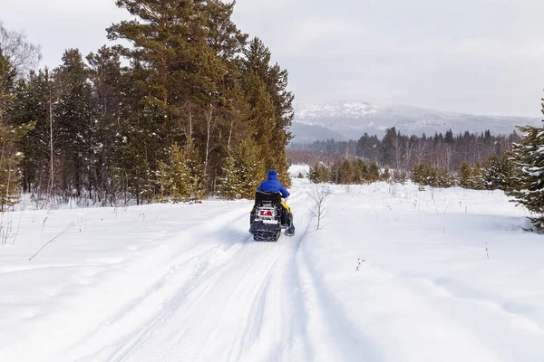 Athlete Snowmobile Moving Winter Forest Mountains Southern Urals — Stock Photo, Image