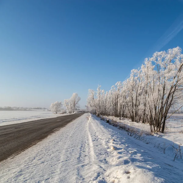 Strada Invernale Tra Campi — Foto Stock