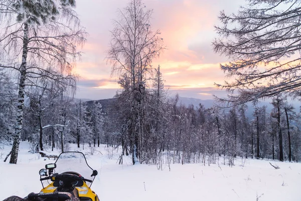 Una Motoslitta Gialla Erge Sentiero Una Foresta Invernale — Foto Stock