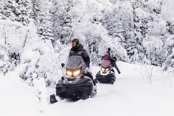 Athletes on a snowmobile moving in the winter forest in the mountains of the Southern Urals.