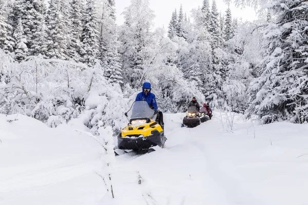 Athletes on a snowmobile moving in the winter forest in the mountains of the Southern Urals.