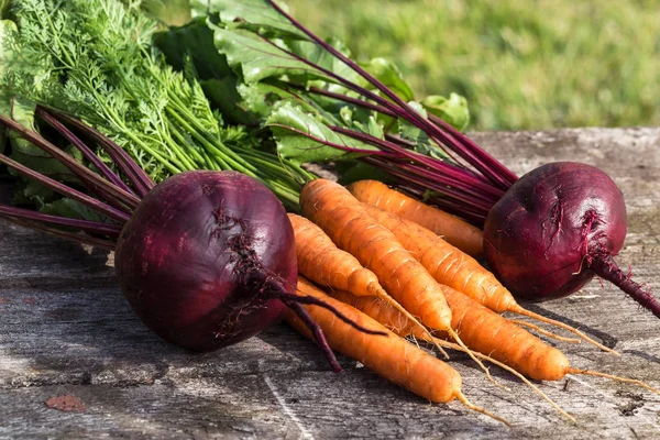 Свежесобранная Морковь Свекла Листьями — стоковое фото