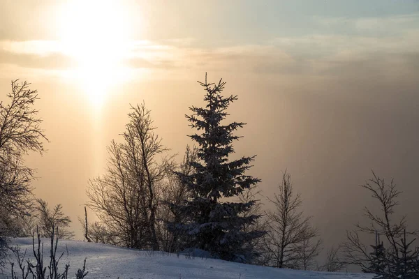 Tramonto Natale Sulle Montagne Urali Gli Ultimi Raggi Del Sole — Foto Stock