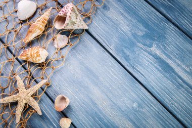 Deniz kabuklarını ve mavi ahşap zemin üzerine starfishes.