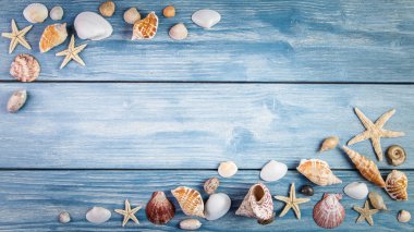 Deniz kabuklarını ve mavi ahşap zemin üzerine starfishes.