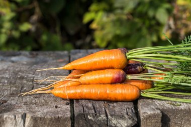 Bir havuç ile görüntü.