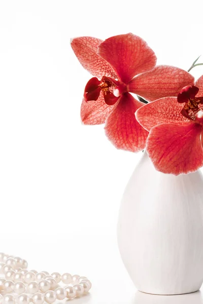 Imagem com orquídea. — Fotografia de Stock