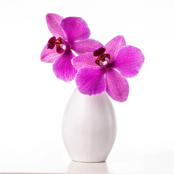 Imagen con orquídea. — Foto de Stock