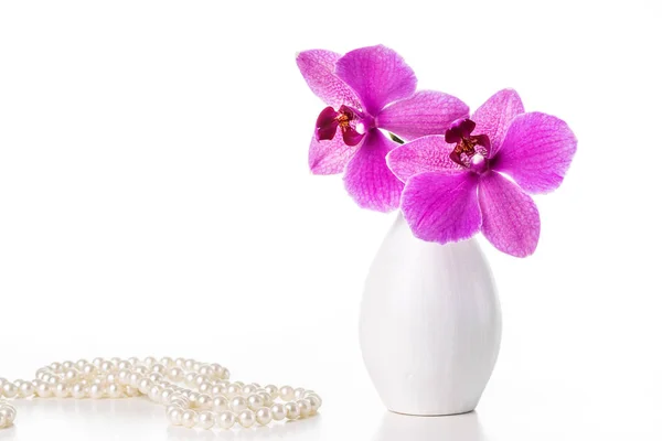 Imagem com orquídea. — Fotografia de Stock