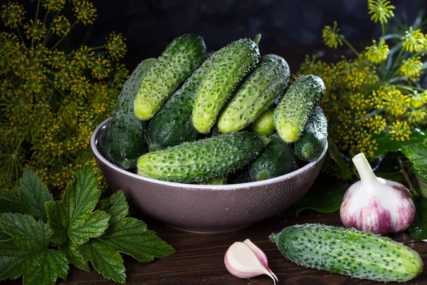 Afbeelding met komkommers. — Stockfoto