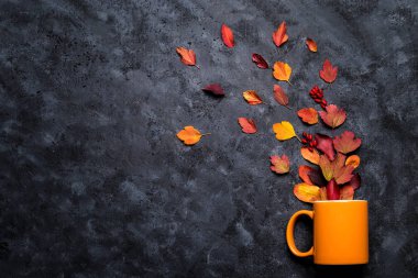 Sonbahar yapraklı resim.