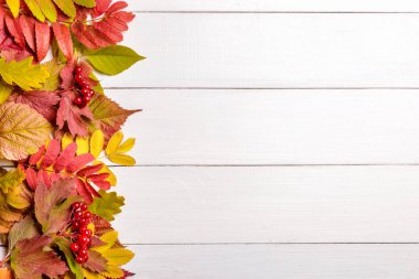 Sonbahar yapraklı resim.