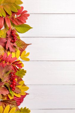 Sonbahar yapraklı resim.