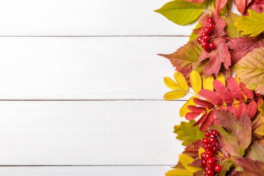 Sonbahar yapraklı resim.