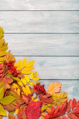 Sonbahar yapraklı resim.