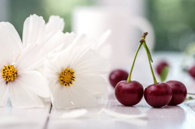 Cosmea ile görüntü