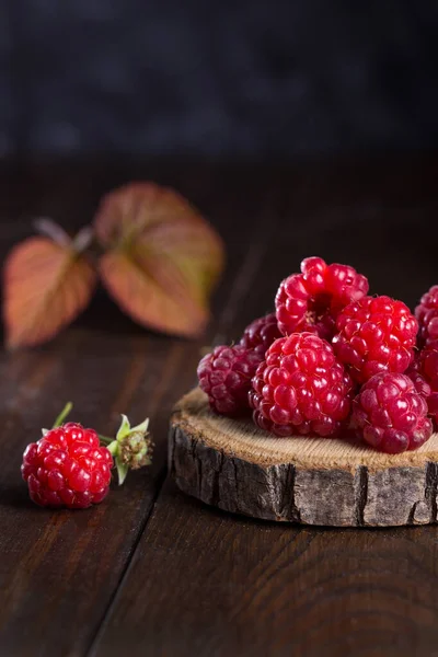 Obrázek s malinami — Stock fotografie