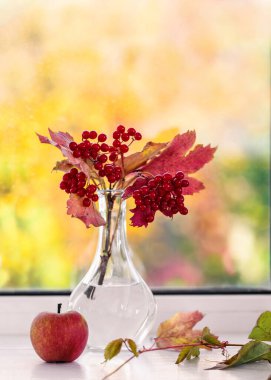 Image with viburnum.